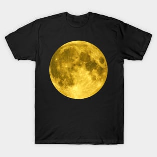 Autumn Moon T-Shirt